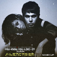 Alex Cyber - DJ Snake feat. AlunaGeorge x Zuma - You Know You Like It (Alex Cyber Mash Up)