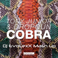 Dj EvoLexX - Tony Junior & Dropgun feat. Rolvario - Cobra (Dj EvoLexX Mash Up)