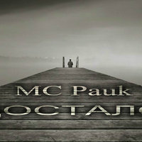MC Pauk - MC Pauk - Достало (31.12.2014)