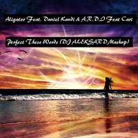 aleksard - Aligator Feat. Daniel Kandi & A.R.D.I Feat Cari – Perfect These Words (DJ ALEKSARD Mashup)