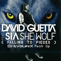 Dj EvoLexX - David Guetta & Sia feat. Dj Illona & Dj Diaz vs. J-Trick & Deorro - She Wolf (Dj EvoLexX Mash Up)