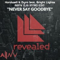 A2NV - Hardwell & Dyro - Never Say Goodbye ( Instumental Rework)