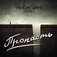 VENOM_ZEV.S - Пропасть feat TAYSER  (mixed by feedjee)