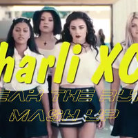 Dj EvoLexX - Charli XCX ft. Klauss Goulart - Break The Rules (Dj EvoLexX Mash Up)