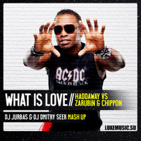 DJ DMITRY SEER - Haddaway Vs. Zarubin & Chippon - What Is Love (DJ JURBAS & DJ DMITRY SEER MASH UP)