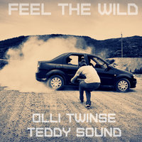 Nicke Harpy - Olli Twinse & Teddy Sound – Feel The Wild (Original Mix)