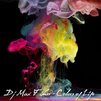 Max Fisher - Colors of Life