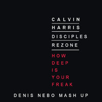 Denis Nebo - Calvin Harris & Disciples & Rezone - How Deep Is Your Freak (Denis Nebo Mash Up)