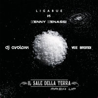 Dj EvoLexX - Ligabue & Benny Benassi ft. Vee Brondi - Il sale della terra (Dj EvoLexX Mash Up)