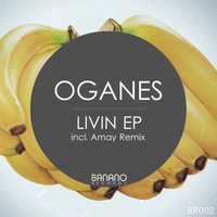 Oganes - Oganes - Like This (Original Mix) [BR002]