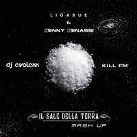 Dj EvoLexX - Ligabue & Benny Benassi ft. Kill FM - Il sale della terra (Dj EvoLexX Mash Up)