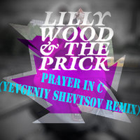 Yevgeniy Shevtsov - Lilly Wood & The Prick - Prayer in C (Yevgeniy Shevtsov Remix)