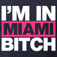 Alex Win - Chuckie feat. LMFAO - Im in Miami Bitch (Alex Win Bootleg)