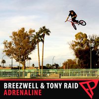 Breezwell - Breezwell & Tonny Raid-Adrenaline (Orignal Mix)