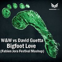 Fabien Jora - W&W vs David Guetta - Bigfoot Love (Fabien Jora Festival Mashup)