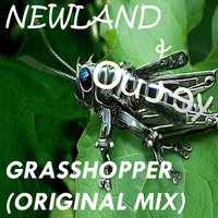 Outey - Outey & NewLand - Grasshooper (Original Mix)
