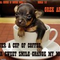 GREK AFIN - GREK AFIN - over a cup of coffee, her sweet smile changed my mood