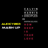 Alex Cyber - Calvin Harris & Disciples vs. Martin Solveig - How Deep Is Your Love (Alex Cyber Mash Up)