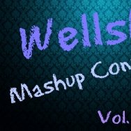 Wellski - Amanda Wilson - Gotta Let You Go ( Wellski Exclusive Mashup)