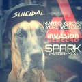 Marto Gross - Marto Gross & Yuri Voices - Spark (Mega-Mix)