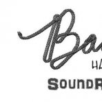 SoundRus - Baauer – Harlem Shake (SoundRus remix)
