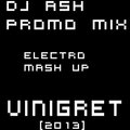 DJ ASH - DJ ASH ELECTRO HOUSE - MASH UP - VINOGRET [2013]