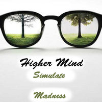 Higher Mind - Live @ Simulate Madness hot mix for Showbiza.com