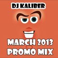 DJ Kaliber - Dj Kaliber – March 2013 Promo Mix
