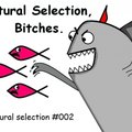 Alers - Thomas Bell & Alers - Natural Selection #002