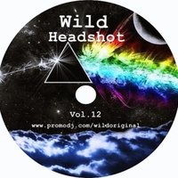 Dj Wild - Wild-Headshot Vol.12