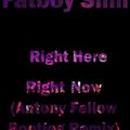 Antony Fellow - Fatboy Slim - Right Here Right Now (Antony Fellow Bootleg Remix)