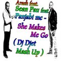 Alexander Sosinovich - Arash feat. Sean Paul feat.Panjabi mc – She Makes Me Go(Dj Djet Mash Up)