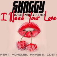 SHUMSKIY - Shaggy feat Mohombi, Costi and Faydee – I Need Your Love (DJ SHUMSKIY remix)