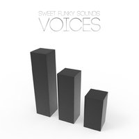 Sweet Funky Sounds - Voices (Original Mix)