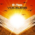 DJ Grizli - R-tem - Voiceless (Grizli 2010 radio mix)