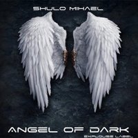 Shulo Mihael - Walk In The Light (Angel Of Dark EP)