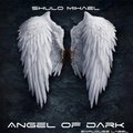 Shulo Mihael - Dysfunction ( Angel of Dark EP)