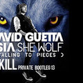 F.KILL - David Guetta feat Sia - She Wolf ( F.KILL Private Bootleg 13)