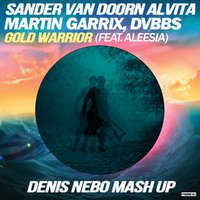 Denis Nebo - Sander van Doorn, Martin Garrix & DVBBS ft. Aleesia & Alvita  - Gold Warrior (Denis Nebo Mash Up)