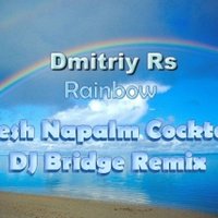 Dj Bridge - Dmitriy Rs - Rainbow (Fresh Napalm Cocktail & DJ Bridge Remix)