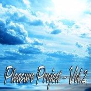 Pleasure Project - Pleasure Project - vol.2