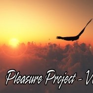 Pleasure Project - Pleasure Project - vol.1