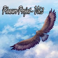 Pleasure Project - Vol.3