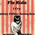 Antony Fellow - Flo Rida - I Cry (Antony Fellow Bootleg Remix)