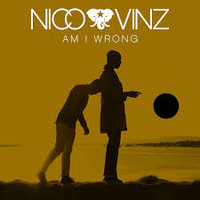Anthony Pippaz - Nico & Vinz - Am i wrong (Romanian Style Remix)