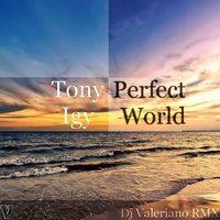 Dj VALERIANO - Tony Igy - Perfect World (Dj Valeriano Remix)
