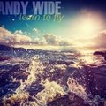 Andy Wide - Andy Wide - Learn to fly (Preview)