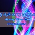 Dj Ayk - Dj Ayk & Dj VinRash - Spring Disco Ball (Original Mix)