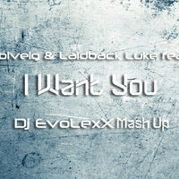 Dj EvoLexX - Martin Solveig & Laidback Luke feat. Kryder - I Want You (Dj EvoLexX Mash Up)