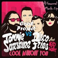 dj Gawreal - Cool Project vs Tommie Sunshine & Disco Fries feat. Kid Sister - Cool Without You (dj Gawreal Mash-Up)